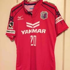 セレッソ大阪 杉本健勇のサムネイル