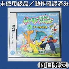 未使用級品／動作確認済み DSソフト ポケモン ダンジョン 空の探検隊 