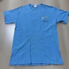 HANES BEEFY-T Tシャツ ライトブルーのサムネイル