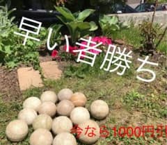 野球軟式ボール　（練習用)15球のサムネイル