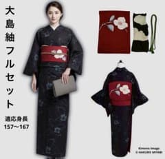 オ正絹 大島紬 袷 小紋 フルセット シックで粋な一枚 目立つ汚れなし