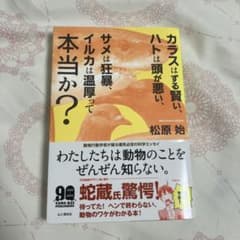 カラスはずる賢い、ハトは頭が悪い……本当か？のサムネイル