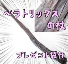 벨라트릭스·레스트 레인지 해리 포터 마법의 지팡이 리본봉투 첨부[잔 3만]