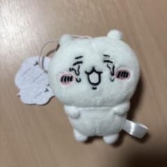 치이카와 대사와 마스코트