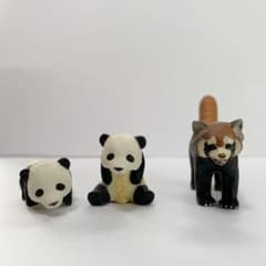 アニア　子パンダ　レッサーパンダAS-11のサムネイル