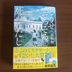 マホイップ様 リクエスト 2点 まとめ商品のサムネイル