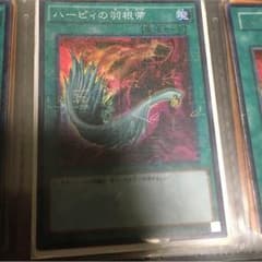 ハーピィの羽根箒のサムネイル