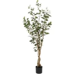 ニトリ  フィカス　150cm 人工観葉植物のサムネイル