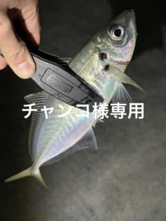 チャンコ様専用のサムネイル
