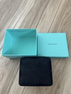 【純正/美品】Tiffany & Co. ジュエリーケース 空箱（スエード調)のサムネイル