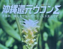 沖縄還元ウコン サプリメントのサムネイル
