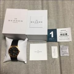 SKAGEN スカーゲンのサムネイル