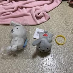 ラヴィットセットのサムネイル