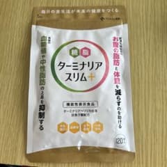 【三代目love様専用】ターミナリアスリム➕のサムネイル