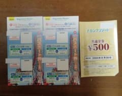 ナガシマスパーランド　パスポート2枚　500円金券のサムネイル