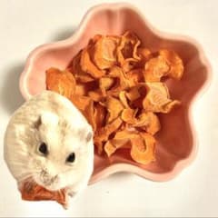 【乾燥にんじん】ハムスター・小動物用の無添加おやつ【ドライキャロット】のサムネイル