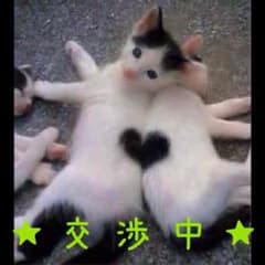 レスポ エブリガールトートのサムネイル