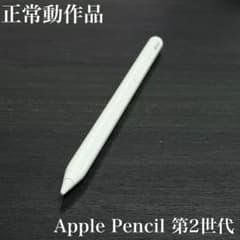 정상 동작품 Apple Pencil 2세대 MU8F2J/A s2