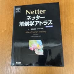 ネッター解剖学アトラス 原書第5版のサムネイル