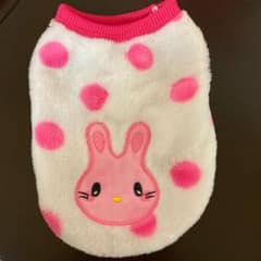 うさぎちゃんのサムネイル