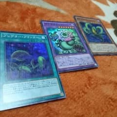 キメラフレシア その他のサムネイル