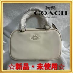 希少・早い者勝ち】 COACH クロスボディ ミニバッグ 黒 サッチェル 