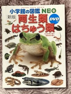 両生類・はちゅう類のサムネイル
