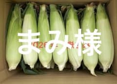 青森県産　嶽きみ　6本のサムネイル