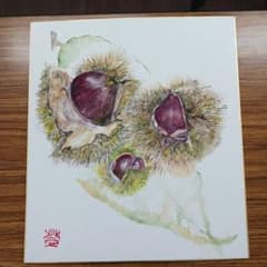 m77971225232_1.jpg?1728610604