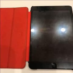 タノチン専用のサムネイル