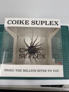 s*n様 HIDEUP COIKE SUPLEX #142 ライトグリパンブラッのサムネイル