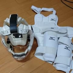 空手   メンホー、プロテクター、シンガードのセットのサムネイル