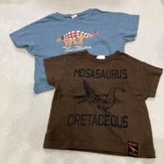 恐竜Tシャツセット 100cmと90cmのサムネイル