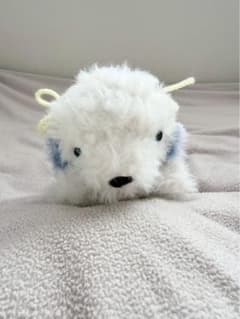ハンドメイド あみぐるみ 犬 ぬいぐるみ かわいい わんちゃんのサムネイル