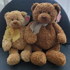 GUND Gotta Getta GUND テディベア ぬいぐるみ 2体セットのサムネイル