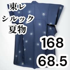 ☆【美品✨】東レシルック 洗える着物 夏着物 飛び柄小紋 蛍ぼかし 裏