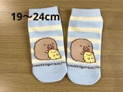 すみっコぐらし とんかつ　キッズ靴下 ボーダー柄のサムネイル