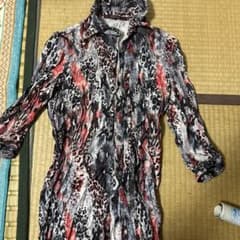 シーナのサムネイル