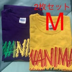 WANIMA wanimaワニマ2枚セットロゴT  Mサイズのサムネイル