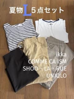 Lサイズ 夏コーデ5点セット まとめ売り ボーダーT スカート　パンツ 着回しのサムネイル