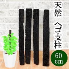 ⚠️希少⚠️ヘゴ 支柱 ヘゴ棒 60cm ヘゴ板 観葉植物 4本 - メルカリ