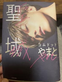 聖域のサムネイル