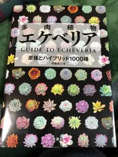 エケベリア 原種とハイブリッド1000種のサムネイル