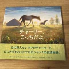 naokoKS様 リクエスト 2点 まとめ商品のサムネイル