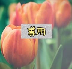 専用のサムネイル