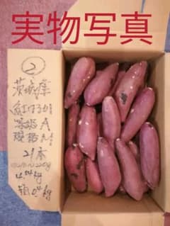 ② 紅はるか（茨城）実写真のサムネイル