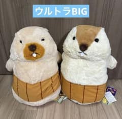 ⑨ マーモットのもっとっとへそ天ウルトラBIG ぬいぐるみ　2個①