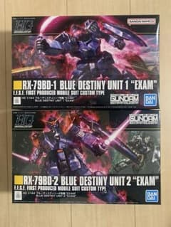 送料込み！HG RX-79BDブルーディスティニー1号機、2号機 2個セット