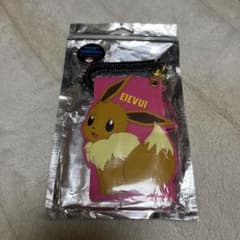 イーブイ　パスケースのサムネイル