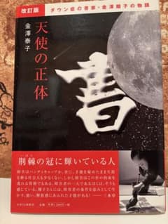 天使の正体 金澤泰子著のサムネイル
